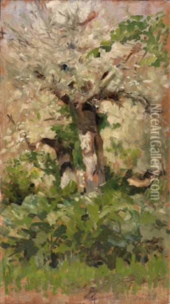 Olivenbaume Oil Painting - Giovanni Fattori