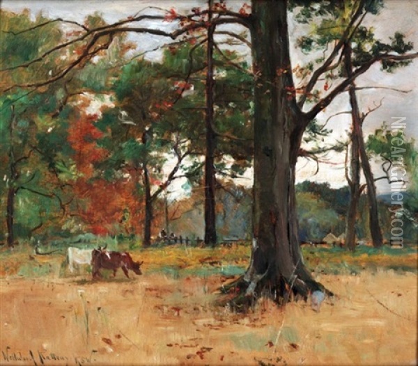 In Roseneath Wood Oil Painting - Alexander Wellwood Rattray