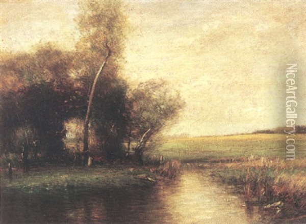 Stream Near A Forest Clearing Oil Painting - John Francis Murphy