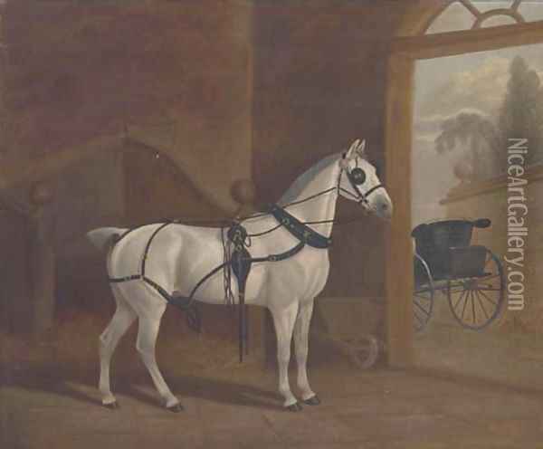 Fancy, a carriage horse Oil Painting - English School