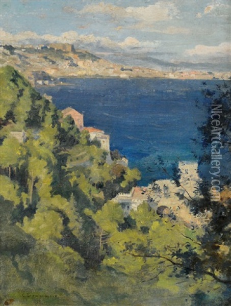 Scorcio Del Golfo Di Napoli Oil Painting - Carlo Brancaccio