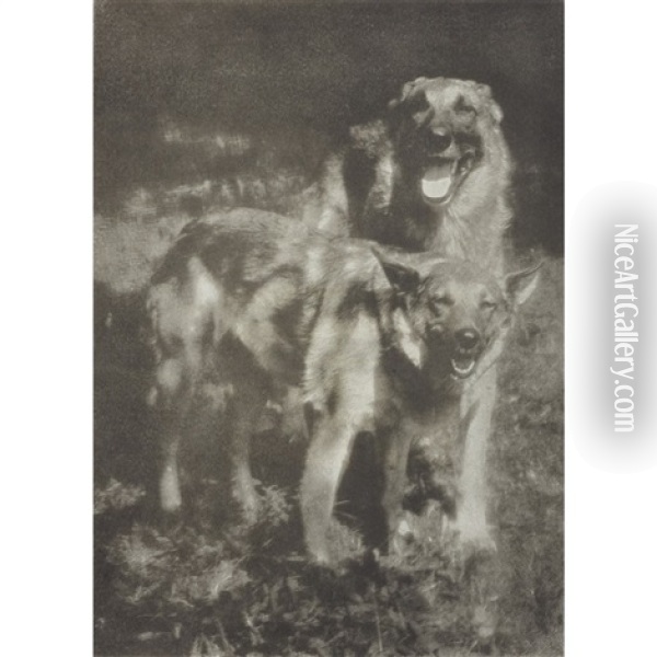 Poidl And Liddy In Sunlight (kuhn's Dogs) Oil Painting - Heinrich Kuehn