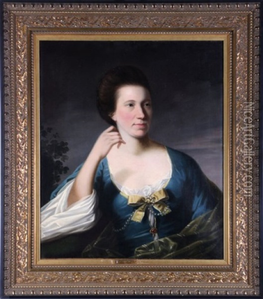 Portrait Of Mrs. Trotter Oil Painting - David Martin