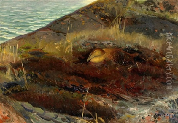 Strandlandskap Med Sjofagel Oil Painting - Axel Sjoeberg