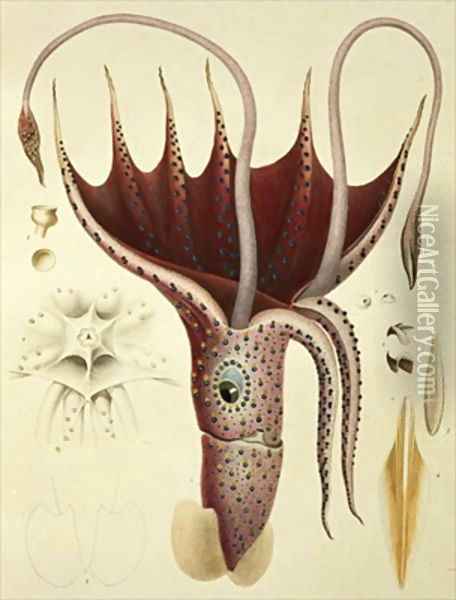 Squid Oil Painting - Antoine Chazal