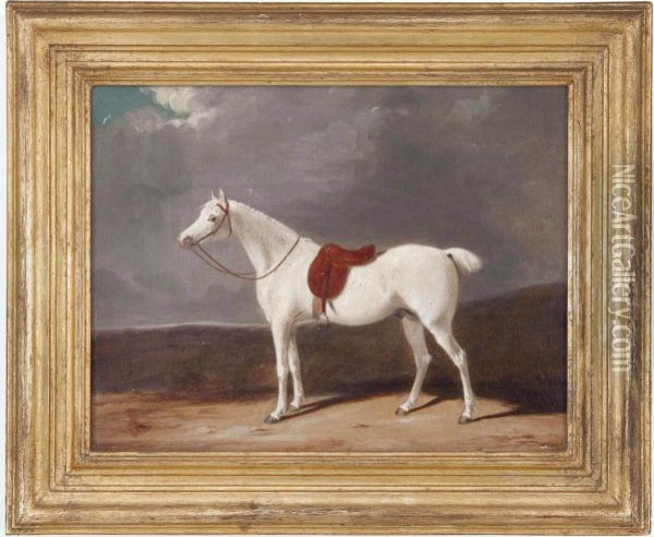 A Grey Hunter In A Landscape Oil Painting - Thomas Woodward