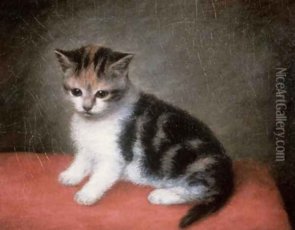 Miss Ann Whites Kitten, 1790 Oil Painting - George Stubbs