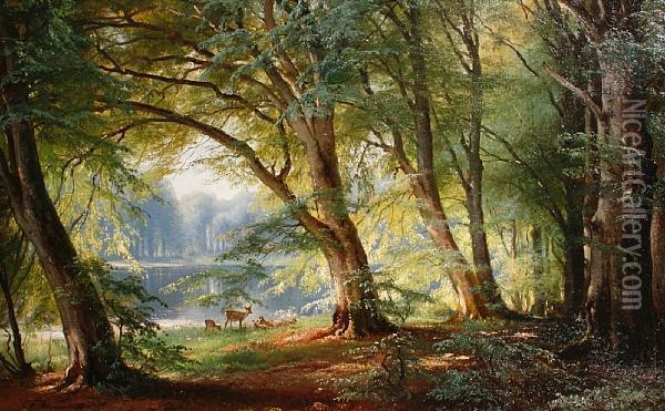 Deer Beside A Lake Oil Painting - Carl Frederick Aagaard