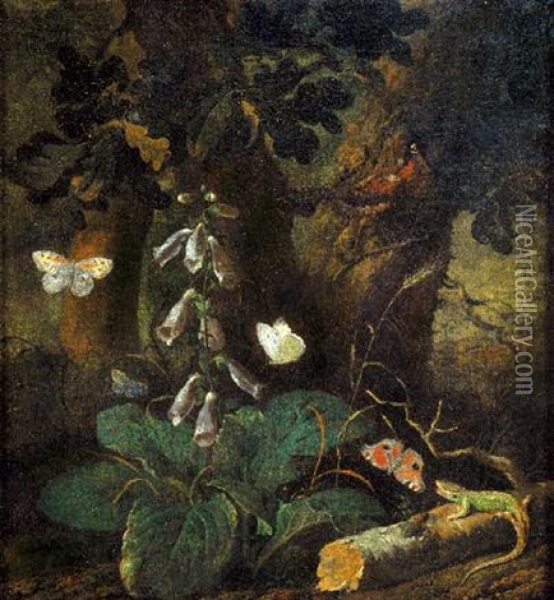 Sottobosco Oil Painting - Otto Marseus van Schrieck