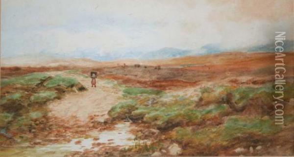 Road To A Bog, Achill Island Oil Painting - Alexander Williams