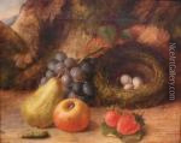 Still Life With Fruit And A Bird's Nest Oil Painting - Oliver Clare