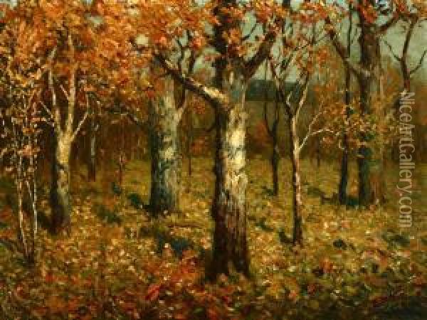 Autumn Trees Oil Painting - Clark S. Marshall