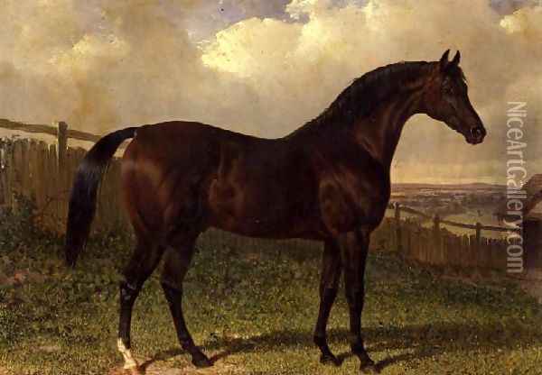 'Emilius', a bay racehorse in a paddock Oil Painting - John Frederick Herring Snr