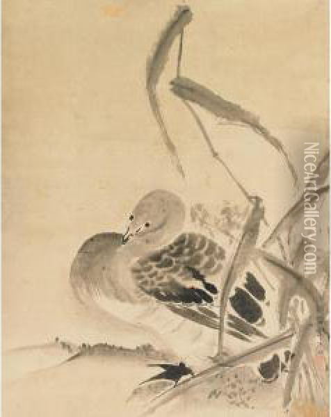 Wild Goose And Autumn Grass Oil Painting - Kano Tsunenobu