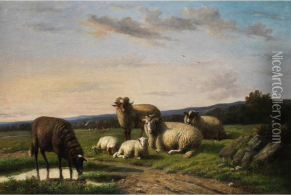 Schafe In Wiesenlandschaft Oil Painting - Louis Pierre Verwee