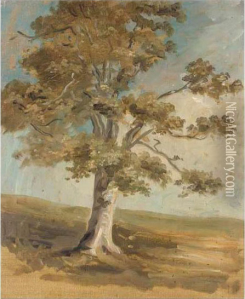 Five Landscape Studies Oil Painting - James Lynwood Palmer