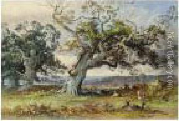 Deer In A Park Resting In The Shade Of An Old Oak Tree Oil Painting - George Arthur Fripp