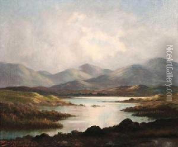 Among The Connemara Mountains Oil Painting - Douglas Alexander