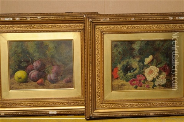 Still Life Of Fruit (+ Still Life Of A Bird's Nest With Eggs; Pair) Oil Painting - Oliver Clare