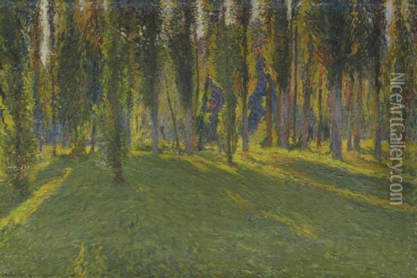 Peupliers Dans La Vallee Du Vert Oil Painting - Henri Martin