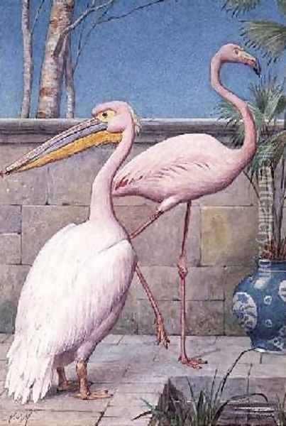 Pelican and Flamingo Oil Painting - Henry Stacy Marks