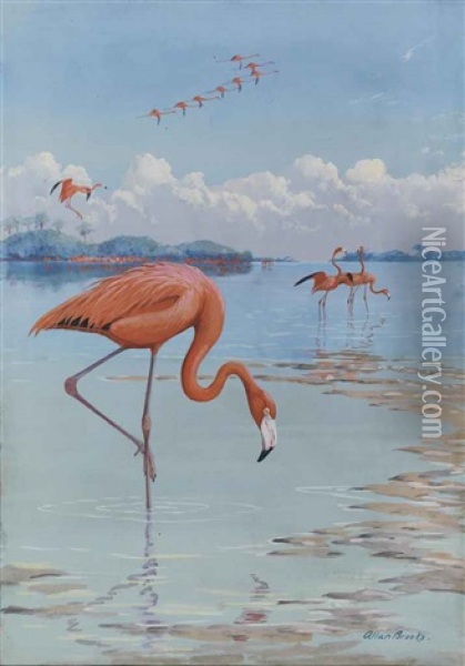 Flamingos Oil Painting - Allan Brooks