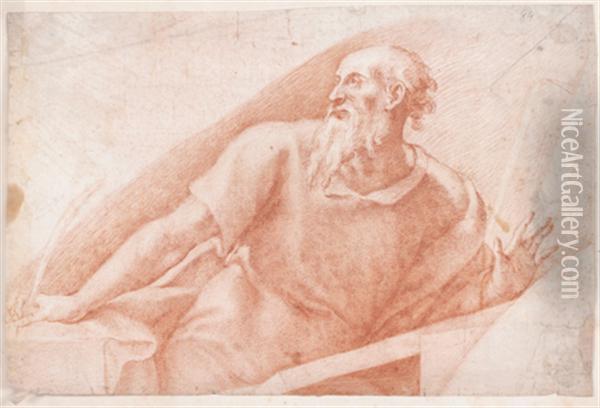 Etude Pour Un Saint Jerome Oil Painting - Girolamo Muziano