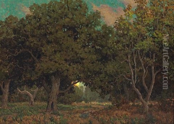 Sunset Through The Trees Oil Painting - Granville S. Redmond