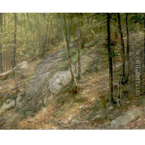 In The Woods Oil Painting - William Henry Lippincott