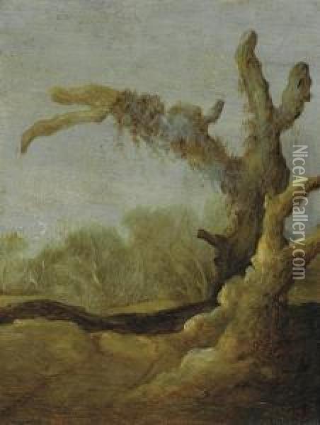 A Tree Trunk In A Landscape Oil Painting - Jacob van Geel