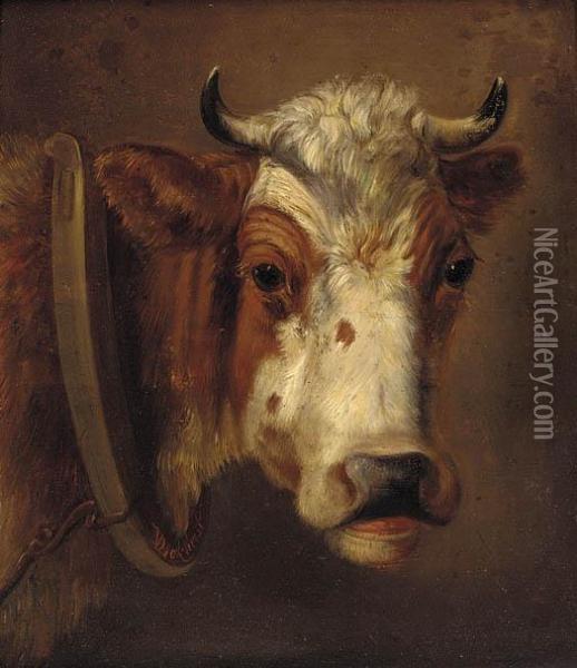 Study Of A Cow's Head Oil Painting - Dirk Van Lokhorst