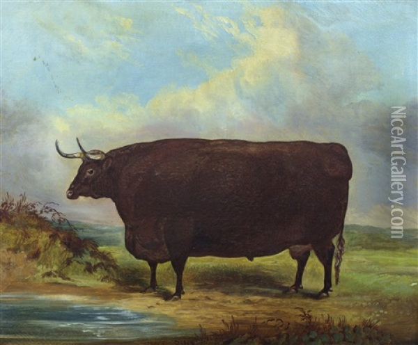 Long Horn Bull Oil Painting - John Vine