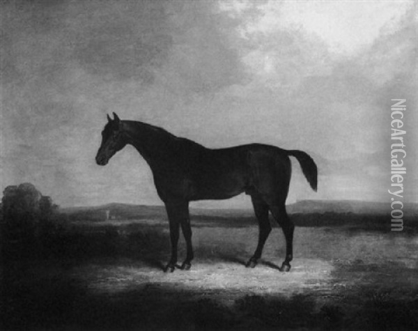 Giles, A Bay Racehorse In A Landscape Oil Painting - Henry Bernard Chalon