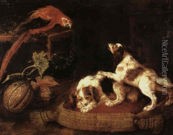 Two Spaniels Upon A Gold Brocaded Cushion One Barking At A  Macaw Parrot Perched On A Table Beside Some Melons Oil Painting - Pier Francesco Cittadini
