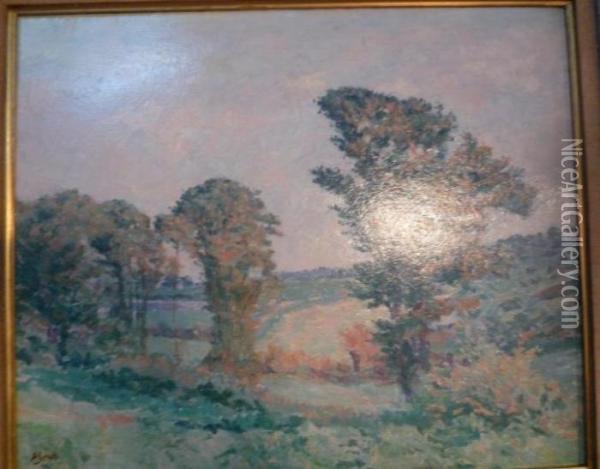 Paysage Aux Arbres Pres Depontoise Oil Painting - Louis Hayet