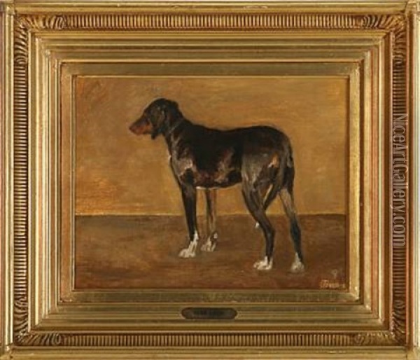 A Brown Sporting Dog Oil Painting - Peter Vilhelm Ilsted