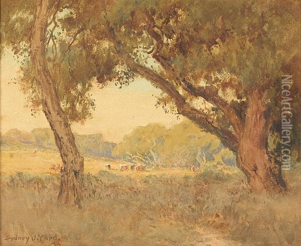 Cattle Grazing In A Sunlit Clearing Oil Painting - Sydney Jones Yard