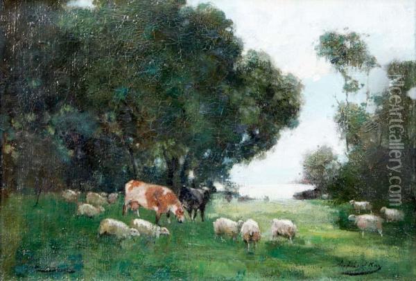 Cows And Sheep Grazing Oil Painting - Archibald Kay