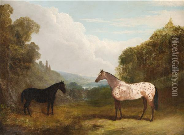 An Appaloosa And A Black Horse In A Landscape Oil Painting - John Frederick Herring Snr