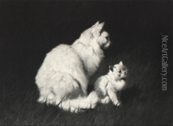 Mother Persian And Kitten Oil Painting - Arthur Heyer