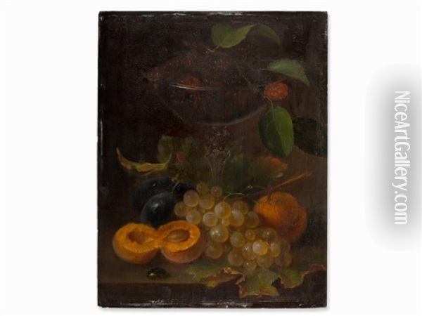 Still Life With Fruits Oil Painting - George Forster