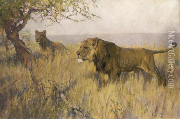 A Lion And A Lioness Surveying Their Territory Oil Painting - Arthur Wardle