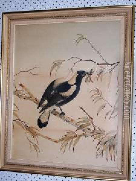 Magpie And Grasshopper On A Branch Oil Painting - Neville Henry P. Cayley