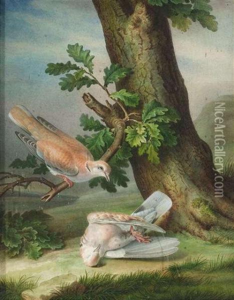 Pancrace. A Bird On A Branch Mourns His Dead Companion Oil Painting - L. Bessa