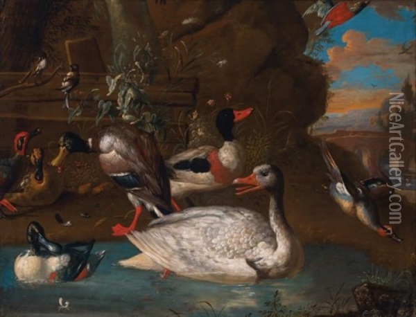 A Norwegian White Goose With Ducks And Other Birds In An Italianate Landscape Oil Painting - Adriaen van Oolen