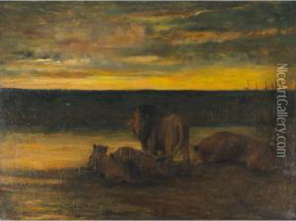 Lions Drinking - Sunset, On The Veldt Oil Painting - John Macallan Swan