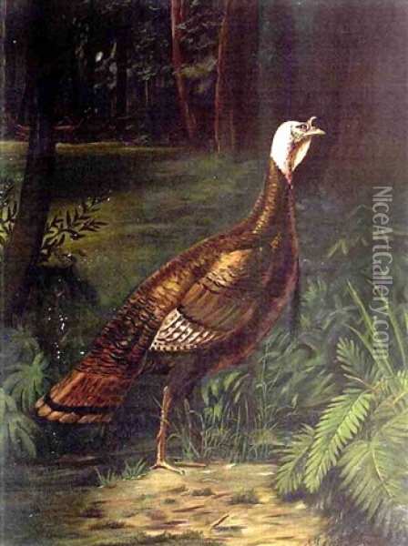 Turkey In The Woods Oil Painting - George Louis Viavant