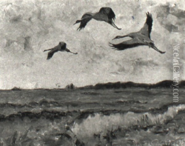 Flygande Tranor Oil Painting - William Gislander