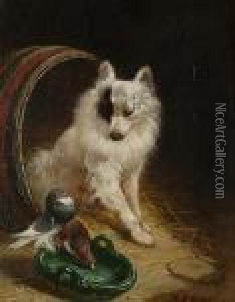 A Dog In A Barn, With Pigeons At A Waterbowl Oil Painting - Henriette Ronner-Knip