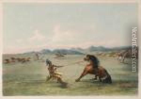 Title: Catching The Wild Horse Oil Painting - George Catlin